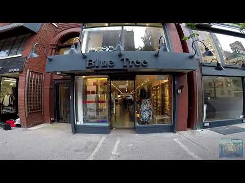 Blue Tree, Boutique in New York