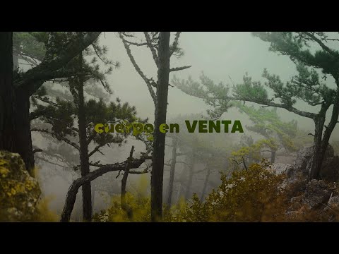 CUERPO EN VENTA - Noriel, Myke Towers, Rauw Alejandro, Almighty (Remix by LOLO DIAZ)