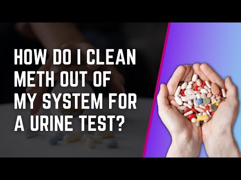 How Do I Clean Meth Out Of My System For A Urine Test?