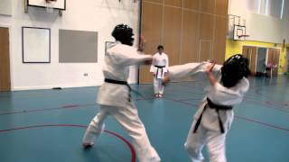 preview picture of video 'Nunchaku Course at Caernarfon Zanshin Karate Cymru'