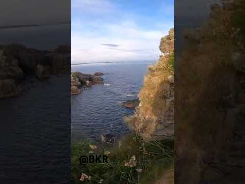 ABANDONED Scottish Castle 🏴󠁧󠁢󠁳󠁣󠁴󠁿 Lost on WILD Remote ISLE of ISLAY