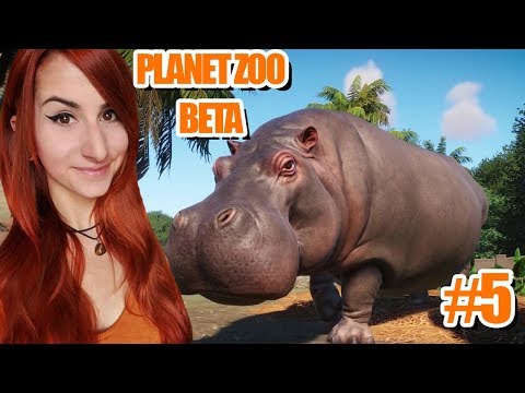 Ein Gehege für die Flusspferde | Planet Zoo Beta #5