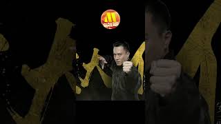 Download lagu Zhao Wenzhuo Leads Three Kung Fu Masters Into an Epic Showdown! #movie #kungfu #action #wuxia mp3