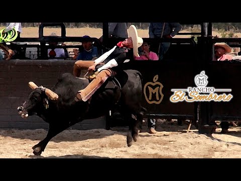 Jineteo de Toro dia 25 febrero - II Campeonato Rancho El Sombrero 2022