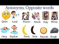 Antonyms In English | Opposite Words | Learn About Opposite Words | Daily Use English. #vocabulary