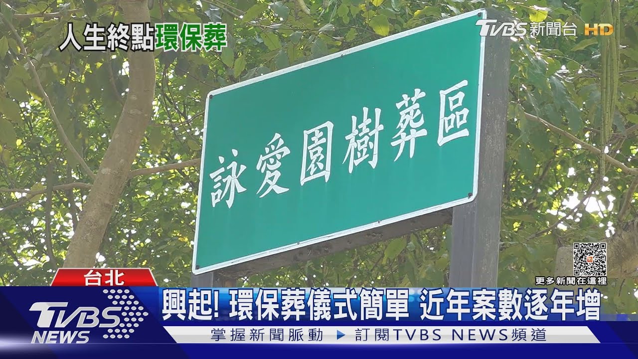 逐年增加!環保意識抬頭 樹葬去年達4161件創新高