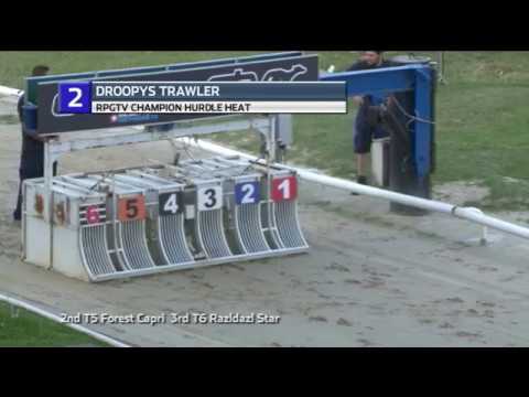 2019 RPGTV CHAMPION HURDLE - HEAT 2 - T2 DROOPYS TRAWLER