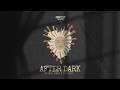 Da Real Emkay AquaReece After Dark Addictive Mix Visualizer