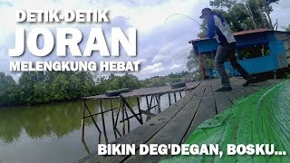 preview picture of video 'Lihat cara Mancing ikan bulan (tarpon) bikin gregetan, dapat Baby MJ/mangrove jack'
