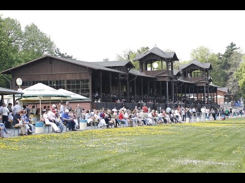 Dresden: Aufgalopp 2016 der Dresdner Morgenpost (D) - Siegerin: Halli Galli