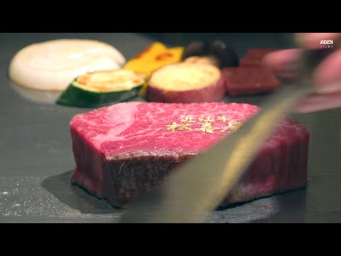 $210 Omi Wagyu in Kyoto - Teppanyaki in Japan
