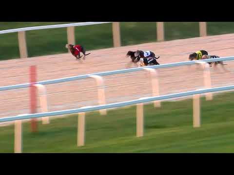 2018.06.29. Agár futam