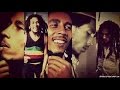 Bob Marley & The Wailers - Punky Reggae Party ...