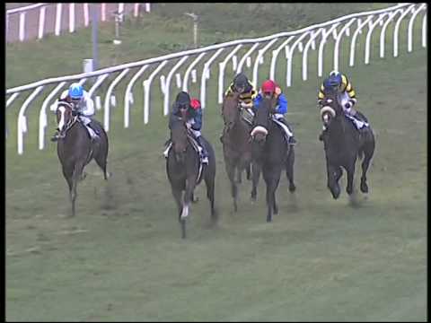 Galoppo 09/01/2015 - 4° corsa