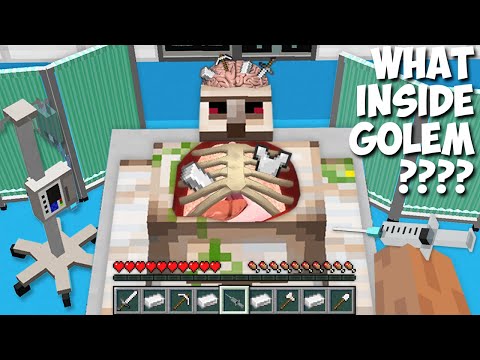 Lemon Craft - What's INSIDE THE IRON GOLEM in Minecraft ! GOLEM IN THE HOSPITAL !