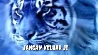 Download lagu Story' wa#Kata Kata  *cerdik macan putih*'''' mp3