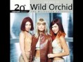 Wild Orchid - Follow Me 