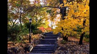 Autumn in New York