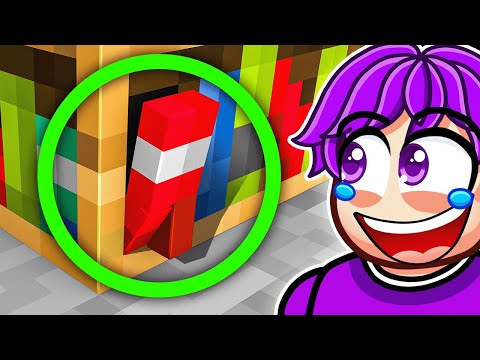 Weirdest Things You CAN'T UNSEE in Minecraft…