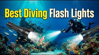 TOP 5 Best Diving Flash Lights 2026 | Rated Diving Flash Lights For Underwater Exploration
