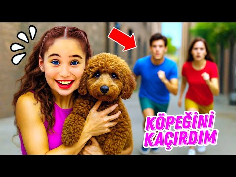 ELİF SİNEM TAKİPÇİSİNİN KÖPEĞİNİ KAÇIRDI ‼️ EYVAH HER YERDE ARIYORLAR !! 