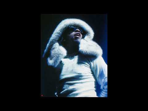 Gunna x Future x Metro Boomin Type Beat 2024 - 'Hakuna Matata' (Prod. Euro)