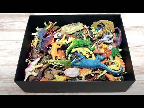 Huge Box of Dinosaurs 3D Puzzles Figures - T-Rex, Stegosaurus, Triceratops, Brachiosaurus, Raptor