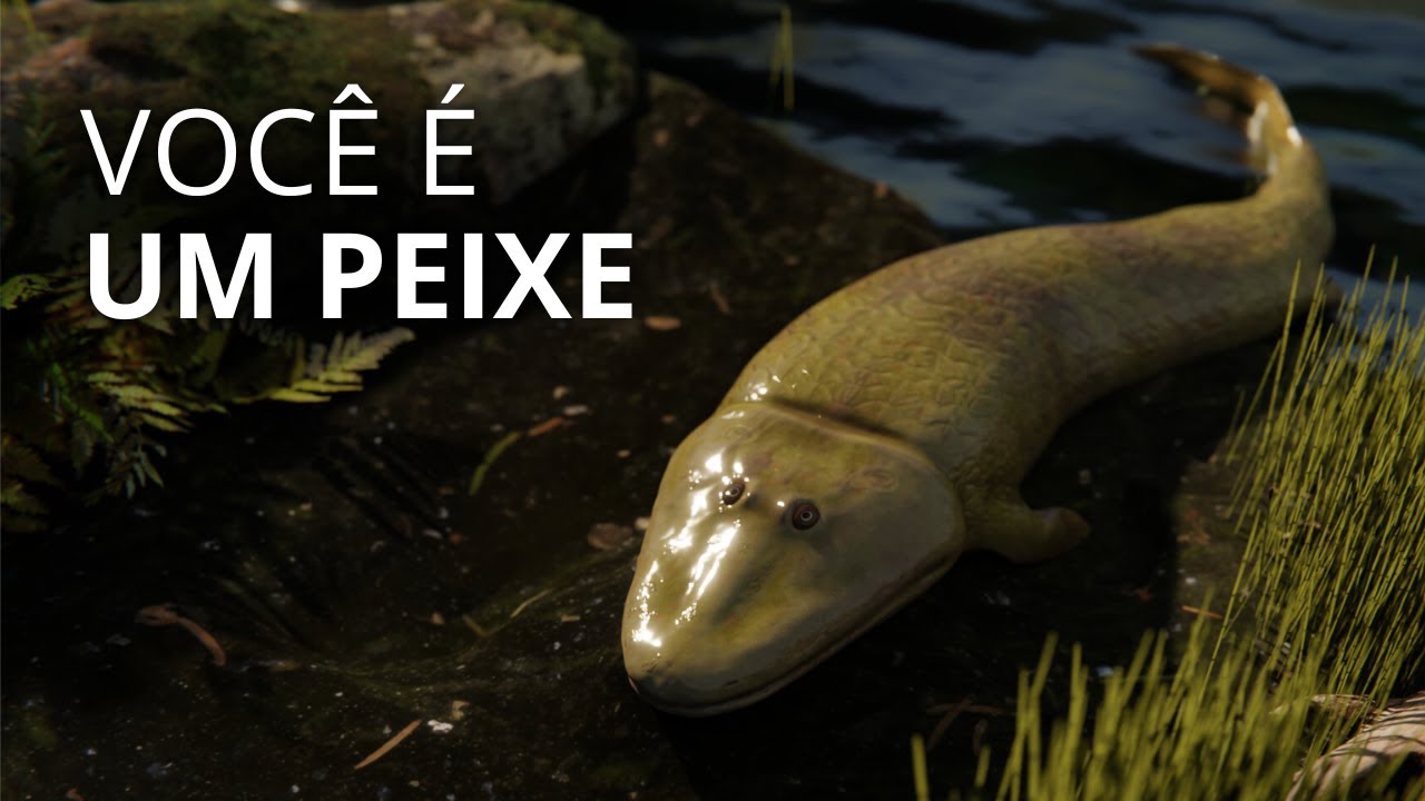 The history of nature: from the big bang to today.