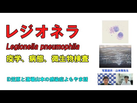 看護学科 レジオネラについて（ID笠原と道場山本の感染症よもやま話）