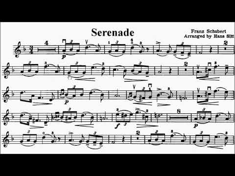 HKSMF 74th Violin 2022 Class 211 Grade 2 Schubert Serenade Sheet Music 校際音樂節