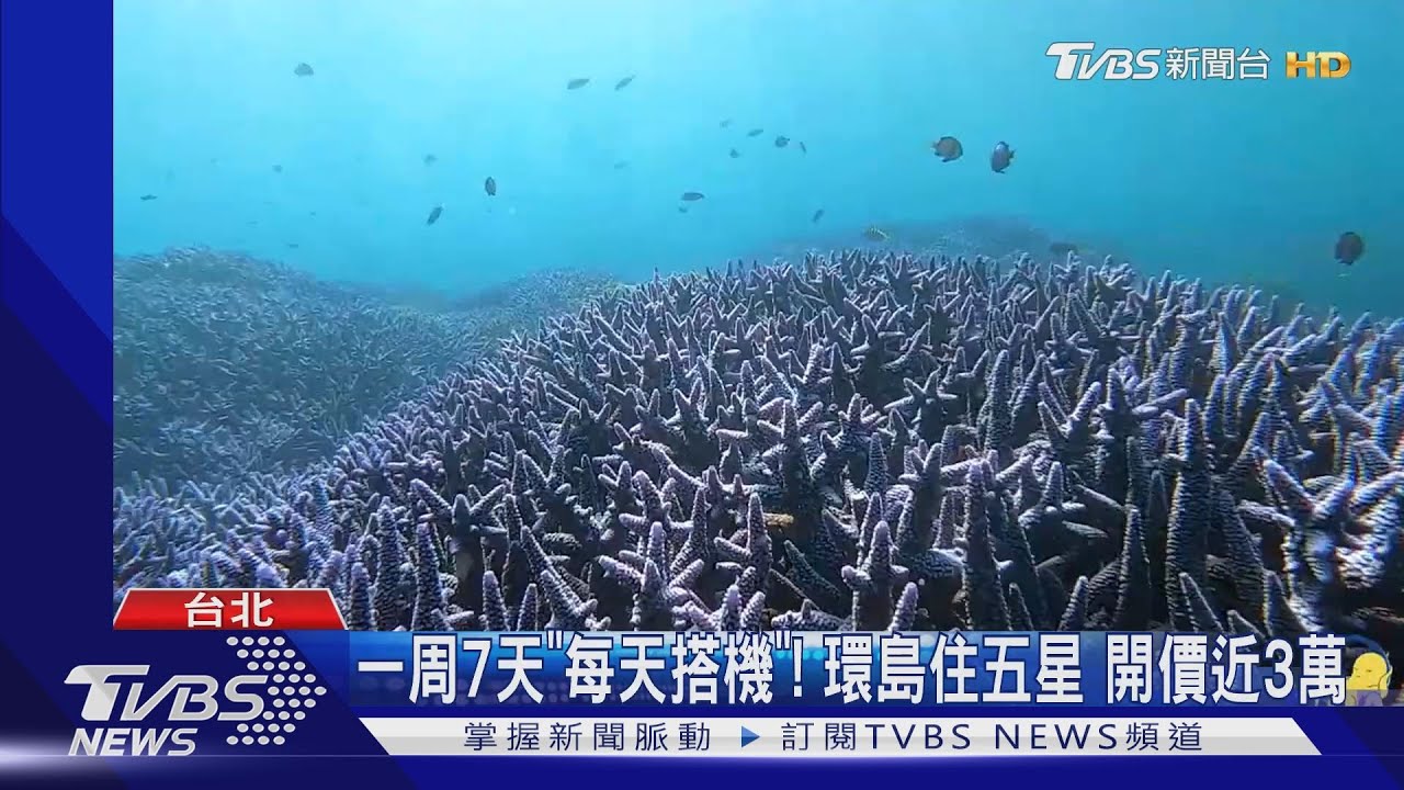 一周7天「每天搭機」!環島住五星 開價近3萬