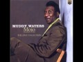 Muddy Waters - Trouble No More