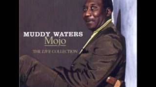 Muddy Waters - Trouble No More