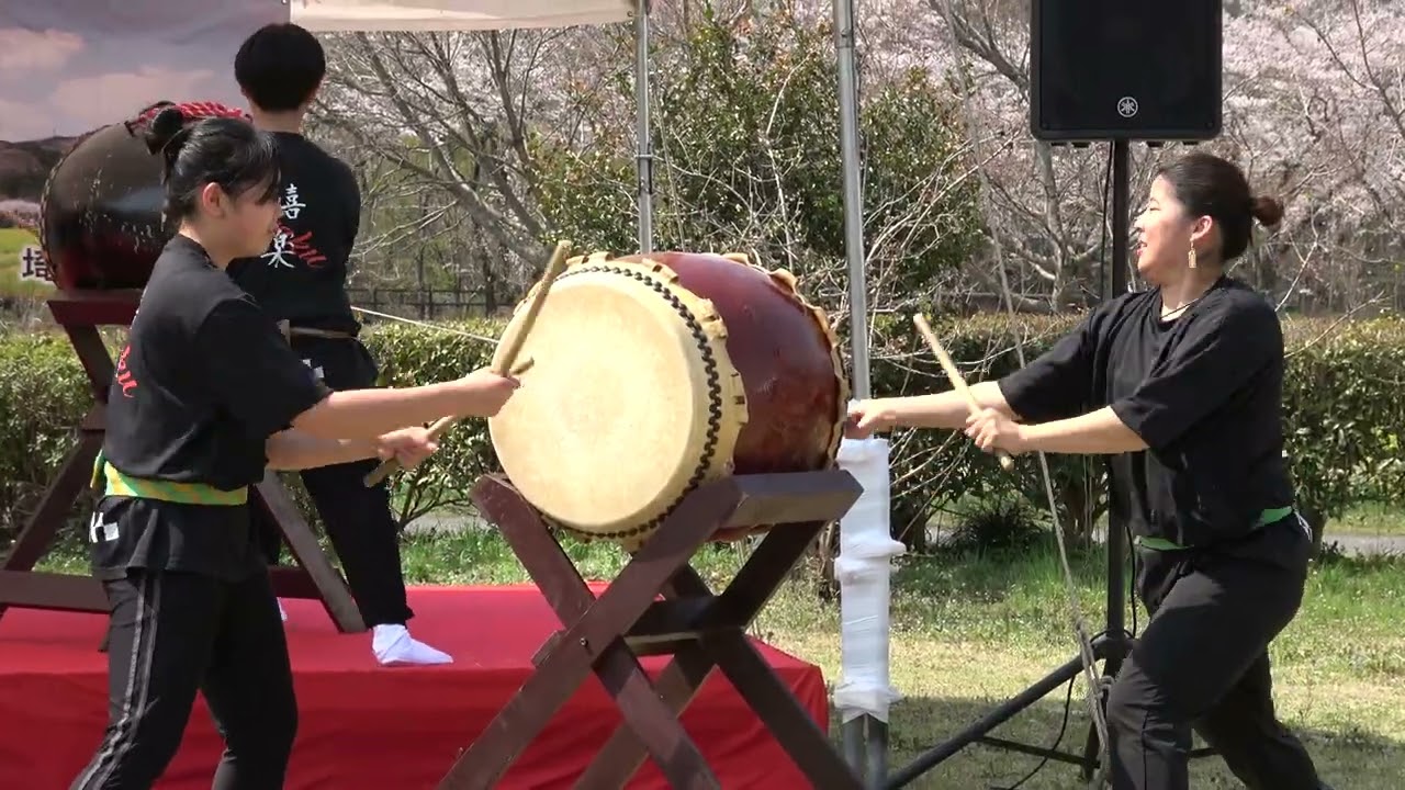一番太鼓社中①＠2026　巾着田春まつり