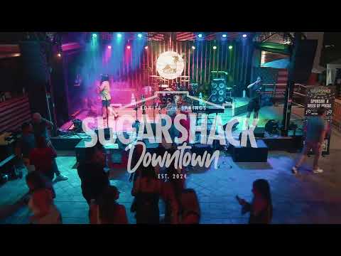 Phenomenal Animal live performance