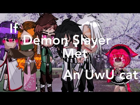 If Demon Slayer met an UwU cat(//No parts//Not original)
