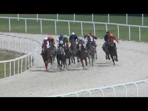 2018.06.10. 2. futam - NYERETLENEK VERSENYE (V.kat.) (szintetikus pálya)