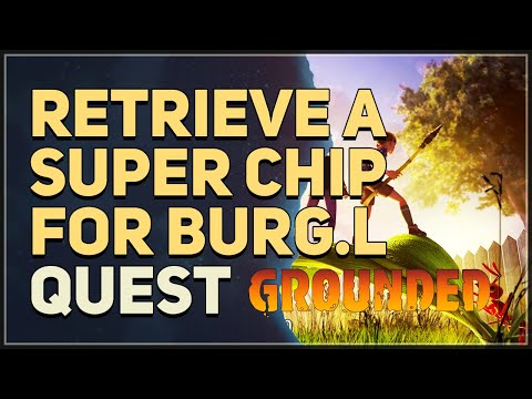 Retrieve a Super Chip for BURG.L Grounded