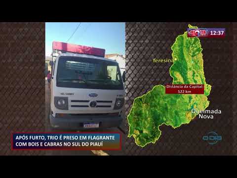 Bandidos roubam bois e cabras em Queimada Nova 18 09 2020