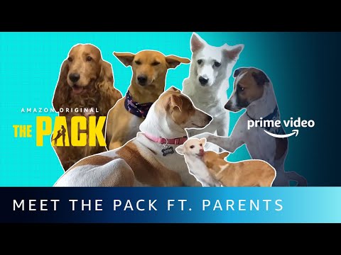 Meet The Pack Ft. Parents | The Pack | Amazon Prime Video