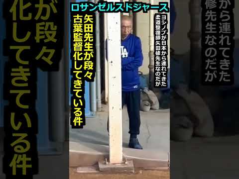 20万再生突破！【ロサンゼルスドジャース】山本由伸専属トレーナー矢田先生が段々古葉監督化してきている件＃大谷翔平 #野球 #プロ野球#広島東洋カープ