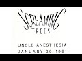 SCREAMING TREES - Caught Between (1991)