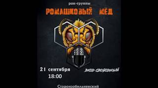 Выступление рок-группы "Ромашковый мёд".
