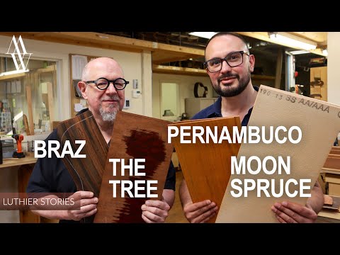 The Most Valuable Woods on Earth - Michael Greenfield - Luthier Stories S2 E1
