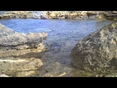 Allegrezza d'Amore - Fabritio Caroso