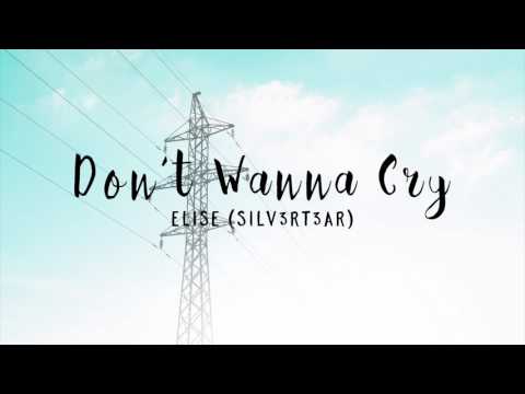 (Acoustic Cover) SEVENTEEN - Don’t Wanna Cry (울고 싶지 않아) | Elise (Silv3rT3ar)