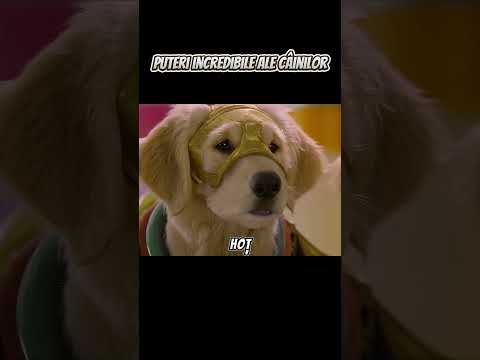 Puteri incredibile ale câinilor