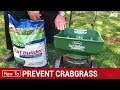 How To Prevent Crabsgrass - Ace Hardware How To Prevent Crabsgrass - Ace Hardware