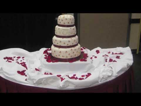 samia cakes - montage