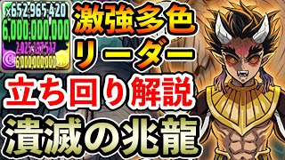 【潰滅の兆龍】憎珀天が多色リーダーとして強い!! 全パラ5倍の圧倒的耐久力&火力で凶兆をサクサク攻略!! 立ち回り解説【凶兆】【パズドラ】
